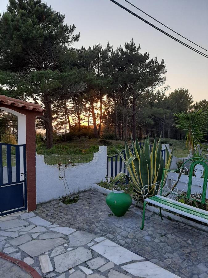Lemos Family Beach House ナザレ エクステリア 写真